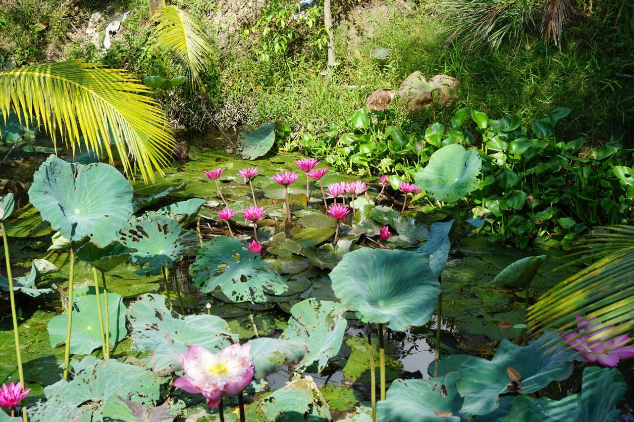 Mekong Way Homestay Кайбе Экстерьер фото
